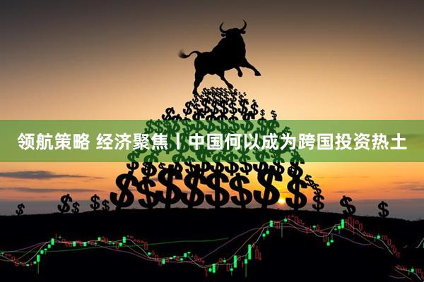 领航策略 经济聚焦丨中国何以成为跨国投资热土