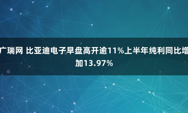 广瑞网 比亚迪电子早盘高开逾11%上半年纯利同比增加13.97%