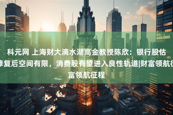 科元网 上海财大滴水湖高金教授陈欣:银行股估值修复后空间有限,消费股有望进入良性轨道|财富领航征程