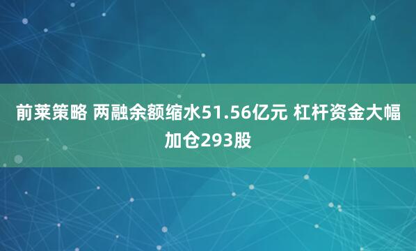 前莱策略 两融余额缩水51.56亿元 杠杆资金大幅加仓293股